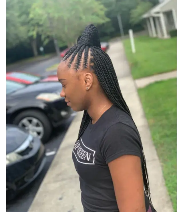 12 High Ponytail Braided Style